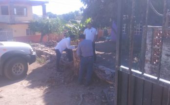 entregaornato