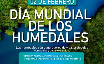 Humedales