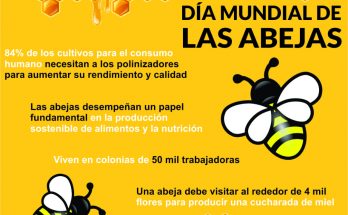 DIA_ABEJAS